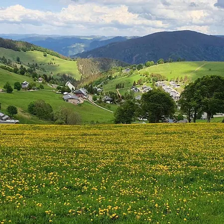 Feldbergblick Apartment