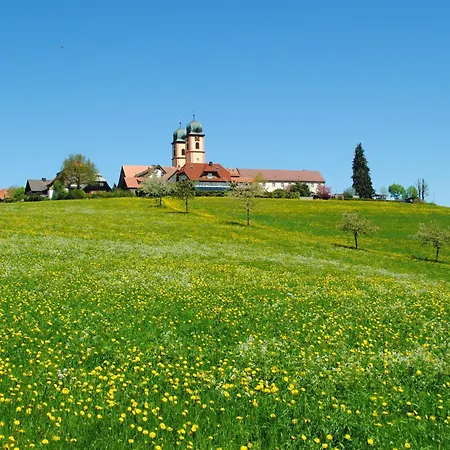 Feldbergblick