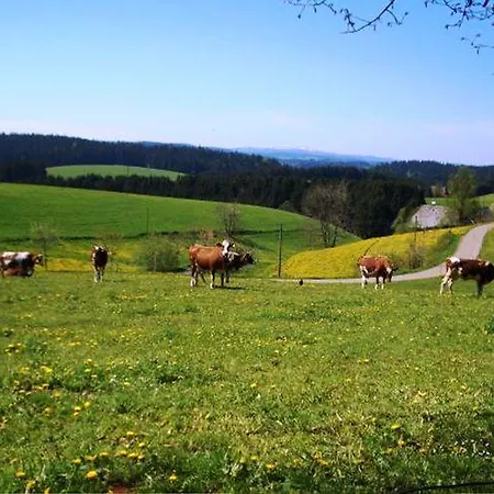 Feldbergblick * Furtwangen im Schwarzwald