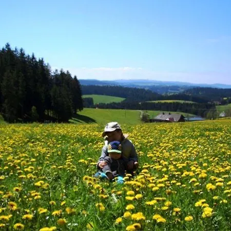 Feldbergblick * Furtwangen im Schwarzwald